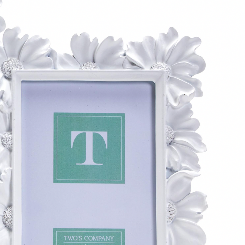 White Daisy Frame