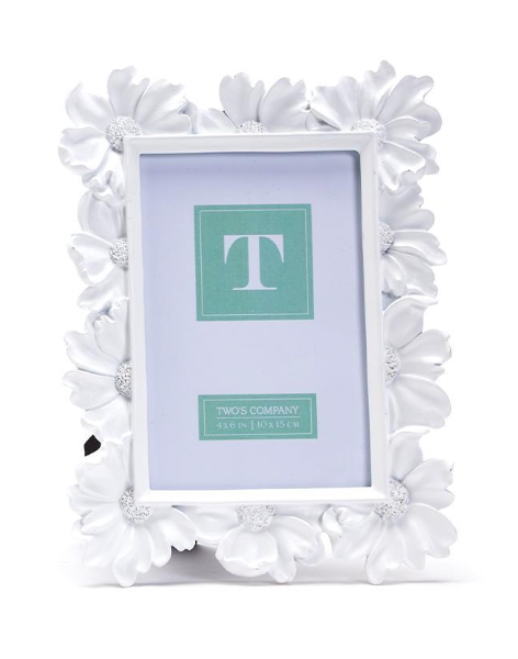 White Daisy Frame