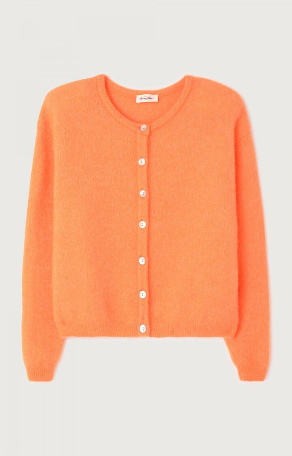 Vitow Cardigan in Carrot