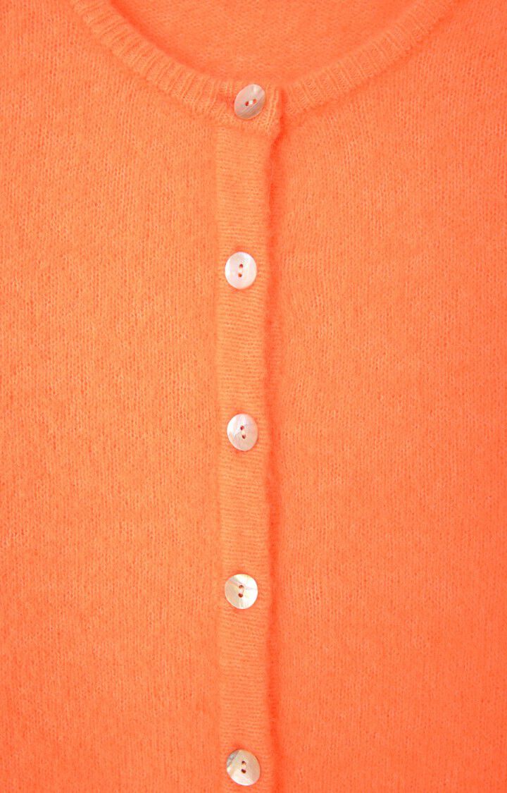 Vitow Cardigan in Carrot